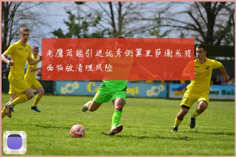 老鹰若能引进优秀侧翼里萨谢或将面临被清理风险