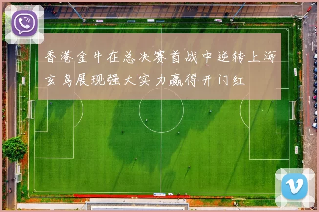 香港金牛在总决赛首战中逆转上海玄鸟展现强大实力赢得开门红